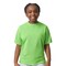 Gildan® Ultra Cotton Youth Crewneck Short Sleeve T-Shirt Perfect for School, Sports & Custom Printing Cotton Tee